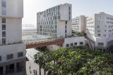 New York University, Abu Dhabi